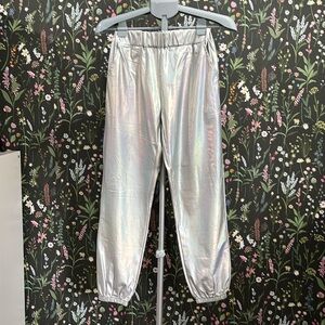Iridescent Silver Pants